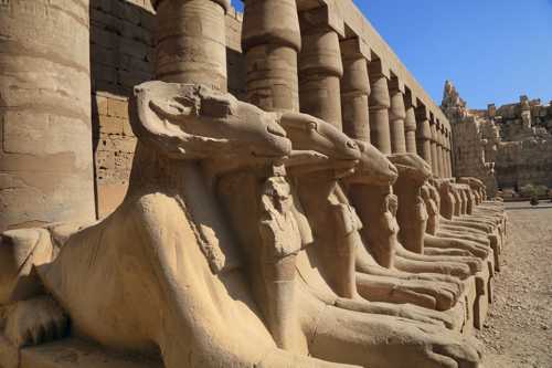 Luxor Lions
